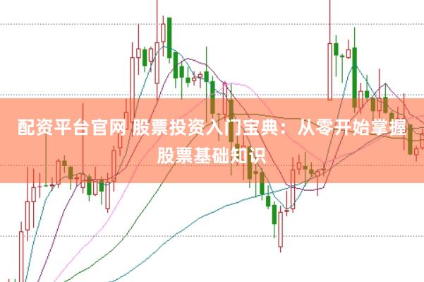 配资平台官网 股票投资入门宝典：从零开始掌握股票基础知识