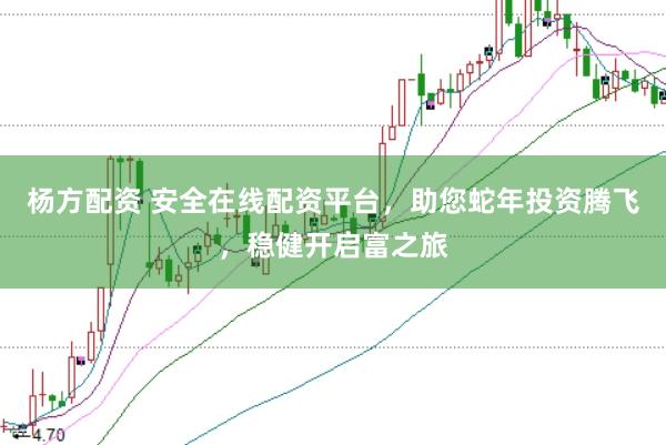 杨方配资 安全在线配资平台，助您蛇年投资腾飞，稳健开启富之旅