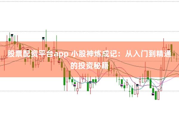 股票配资平台app 小股神炼成记：从入门到精通的投资秘籍