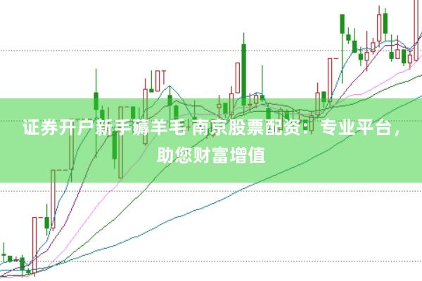 证券开户新手薅羊毛 南京股票配资：专业平台，助您财富增值