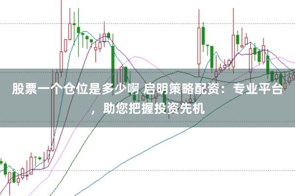 股票一个仓位是多少啊 启明策略配资：专业平台，助您把握投资先机