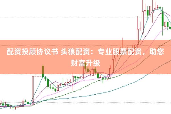 配资投顾协议书 头狼配资：专业股票配资，助您财富升级