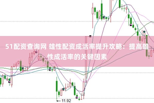 51配资查询网 雄性配资成活率提升攻略：提高雄性成活率的关键因素