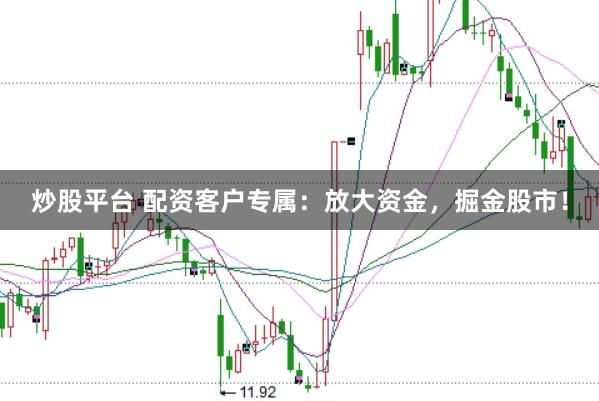 炒股平台 配资客户专属：放大资金，掘金股市！