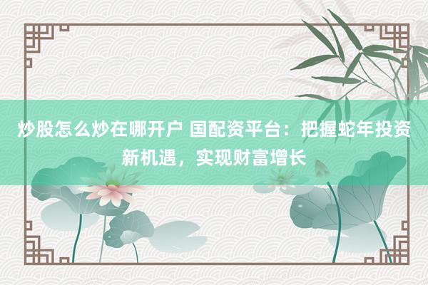 炒股怎么炒在哪开户 国配资平台：把握蛇年投资新机遇，实现财富增长