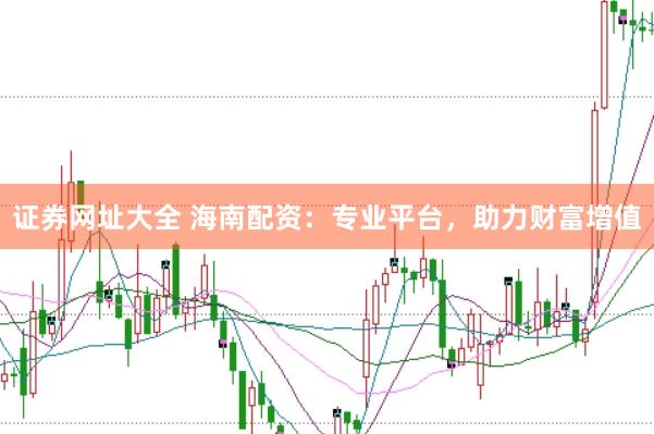 证券网址大全 海南配资:专业平台,助力财富增值