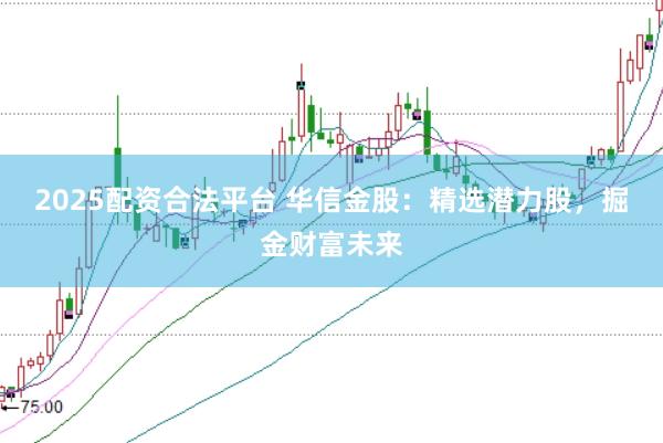 2025配资合法平台 华信金股：精选潜力股，掘金财富未来