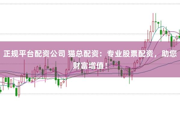 正规平台配资公司 猫总配资：专业股票配资，助您财富增值！