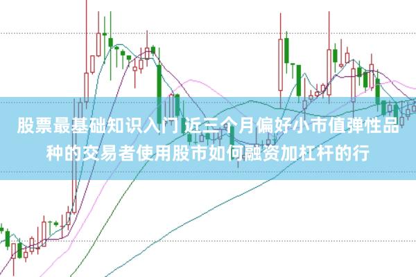 股票最基础知识入门 近三个月偏好小市值弹性品种的交易者使用股市如何融资加杠杆的行