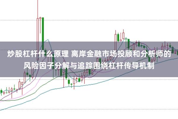 炒股杠杆什么原理 离岸金融市场投顾和分析师的风险因子分解与追踪围绕杠杆传导机制