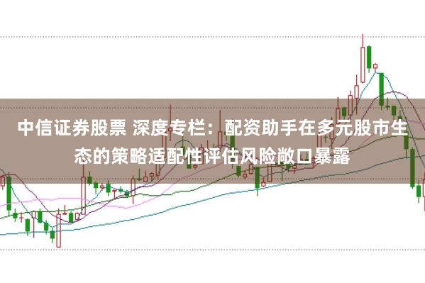 中信证券股票 深度专栏:配资助手在多元股市生态的策略适配性评估风险敞口暴露