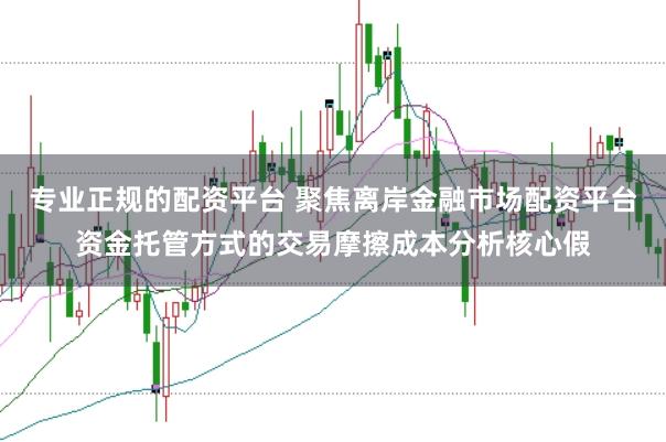 专业正规的配资平台 聚焦离岸金融市场配资平台资金托管方式的交易摩擦成本分析核心假