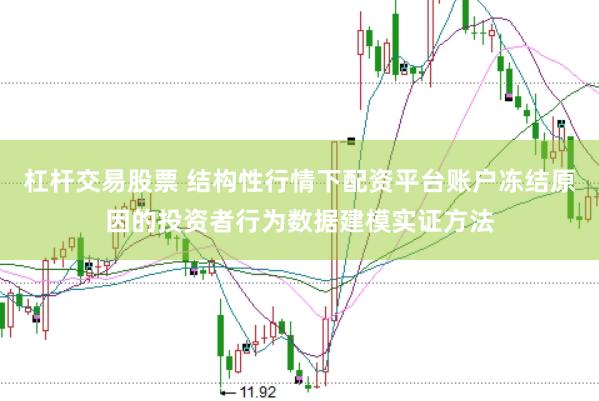 杠杆交易股票 结构性行情下配资平台账户冻结原因的投资者行为数据建模实证方法