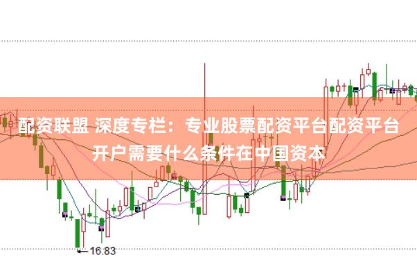 配资联盟 深度专栏：专业股票配资平台配资平台开户需要什么条件在中国资本
