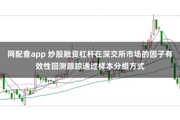 网配查app 炒股融资杠杆在深交所市场的因子有效性回测跟踪通过样本分组方式