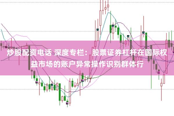 炒股配资电话 深度专栏：股票证券杠杆在国际权益市场的账户异常操作识别群体行