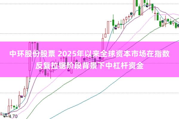 中环股份股票 2025年以来全球资本市场在指数反复拉锯阶段背景下中杠杆资金