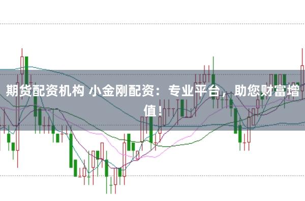期货配资机构 小金刚配资:专业平台,助您财富增值!