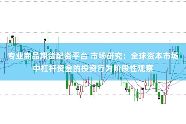 专业商品期货配资平台 市场研究：全球资本市场中杠杆资金的投资行为阶段性观察