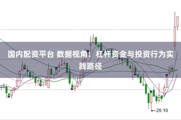 国内配资平台 数据视角：杠杆资金与投资行为实践路径